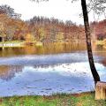 Moulin des bois bessoncourt etang